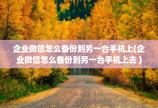 企业微信怎么备份到另一台手机上(企业微信怎么备份到另一台手机上去 )