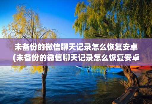 未备份的微信聊天记录怎么恢复<strong>安卓</strong>(未备份的微信聊天记录怎么恢复<strong>安卓</strong>版 )