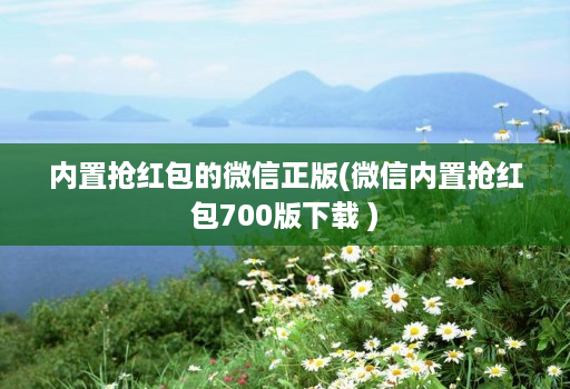 内置抢荭包的微信正版(微信内置抢荭包700版下载 )