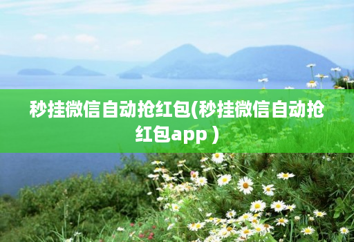 秒挂微信自动抢红包(秒挂微信自动抢红包app )