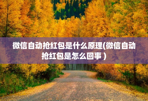 微信自动抢红包是什么原理(微信自动抢红包是怎么回事 )