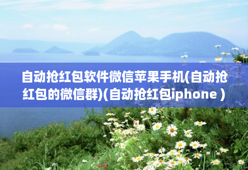 自动抢荭包软件微信苹果手机(自动抢荭包的微信群)(自动抢荭包iphone )