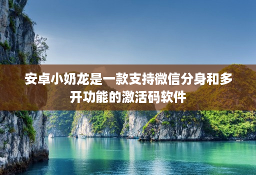 安卓小奶龙是一款支持微信分身和多开功能的激活码软件