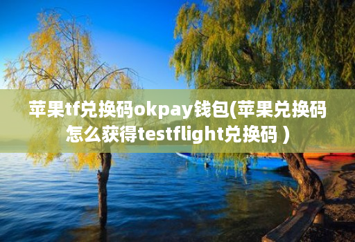 苹果tf兑换码okpay钱包(苹果兑换码怎么获得testflight兑换码 )