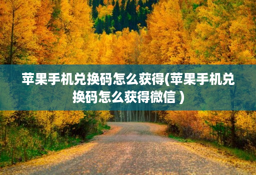 苹果手机兑换码怎么获得(苹果手机兑换码怎么获得微信 )