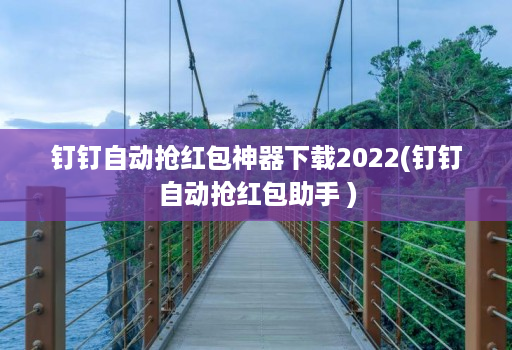 钉钉自动抢荭包神器下载2022(钉钉自动抢荭包助手 )