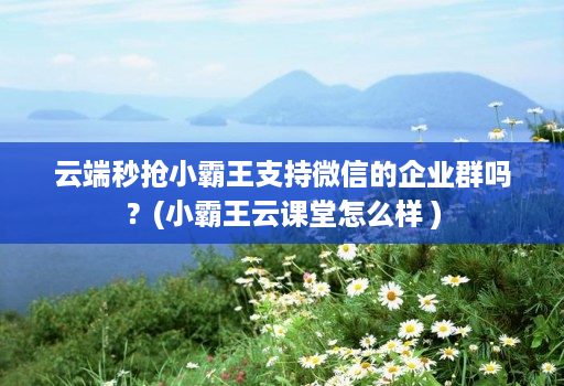 <strong>云端</strong>秒抢小霸王支持微信的企业群吗？(小霸王云课堂怎么样 )