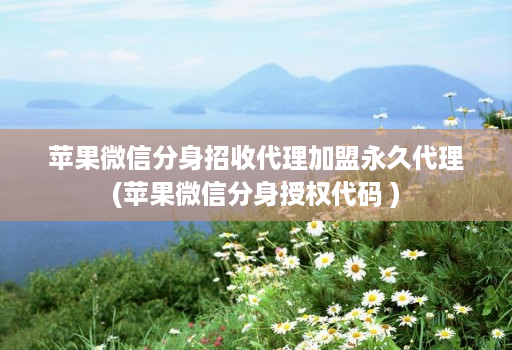 苹果微信分身招收代理加盟永久代理(苹果微信分身授权代码 )