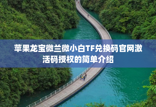 苹果龙宝微兰微小白TF兑换码官网激活码授权的简单介绍