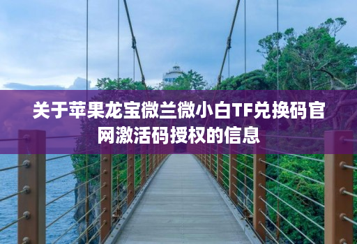 关于苹果龙宝微兰微小白TF兑换码官网激活码授权的信息