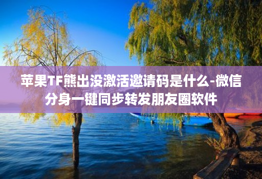 <strong>苹果</strong>TF熊出没激活邀请码是什么-微信分身一键同步转发朋友圈软件