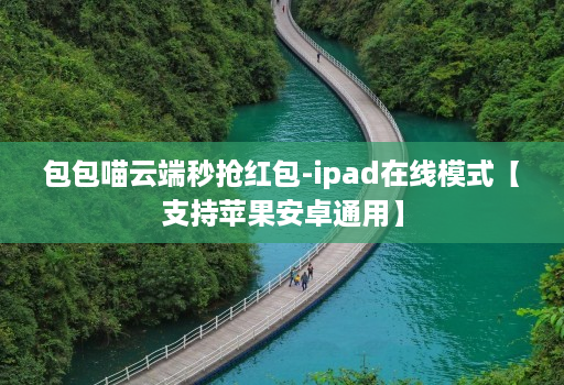 包包喵云端秒抢红包-ipad在线模式【支持苹果安卓通用】