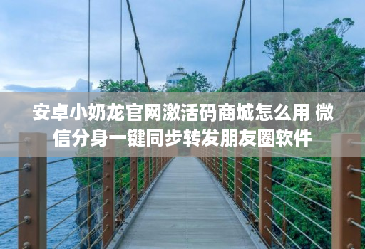 安卓小奶龙官网激活码商城怎么用 微信分身一键同步转发朋友圈软件