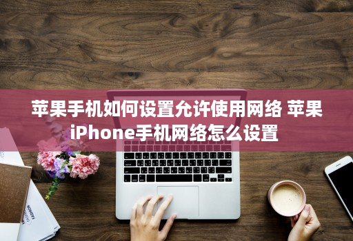 苹果手机如何设置允许使用网络 苹果iPhone手机网络怎么设置 