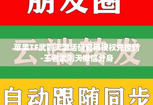 苹果TF武则天激活码官网授权兑换码-王者武则天微信分身