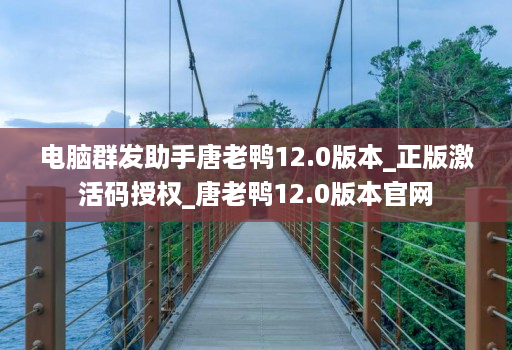 电脑群发助手唐老鸭12.0版本_正版激活码授权_唐老鸭12.0版本官网