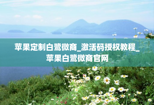 苹果定制白鹭微商_激活码授权教程_苹果白鹭微商官网