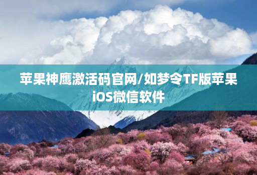 苹果神鹰激活码官网/如梦令TF版苹果iOS微信软件