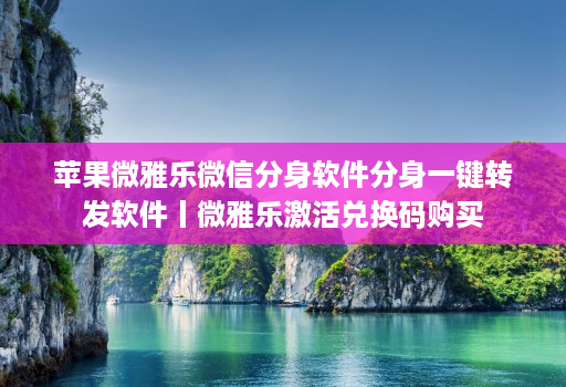 苹果微雅乐微信分身软件分身一键转发软件丨微雅乐激活兑换码购买