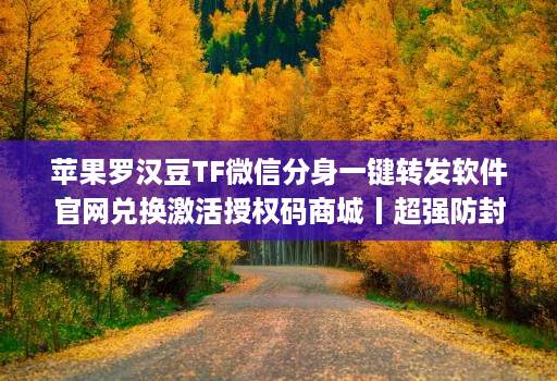 苹果罗汉豆TF微信分身一键转发软件官网兑换激活授权码商城丨超强防封