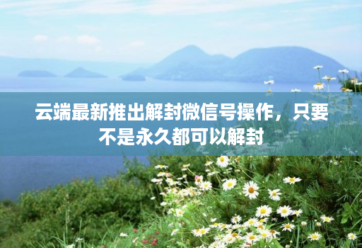 云端最新推出解封微信号操作，只要不是永久都可以解封