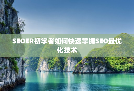 SEOER初学者如何快速掌握SEO最优化技术