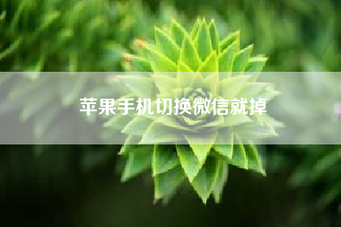 <strong>苹果</strong>手机切换微信就掉　<strong>苹果</strong>可以双开微信么?