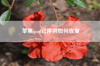 <strong>苹果</strong>ipad已停用如何恢复--<strong>苹果</strong>的平板怎么查看ID？（<strong>苹果</strong>赵子龙官网）